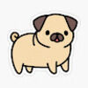 randompug
